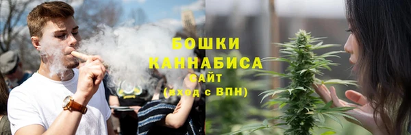 трава Горно-Алтайск