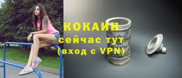 СК Горняк