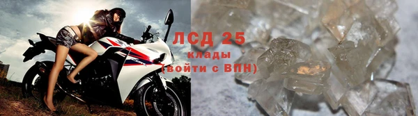 СК Горнозаводск