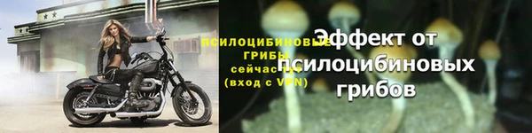 СК Горняк