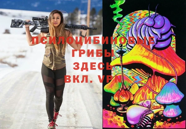 трава Горно-Алтайск